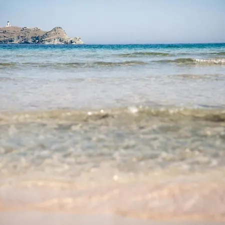 Casa A Rota D'hotes Dans Maison D'americains 3* Ersa