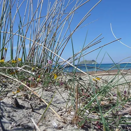 Casa A Rota D'hotes Dans Maison D'americains לינה וארוחת בוקר