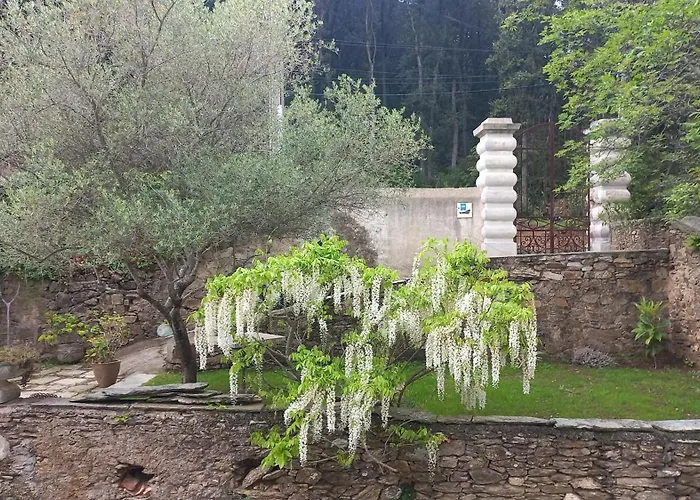 Casa A Rota D'hotes Dans Maison D'americains 3* Ersa