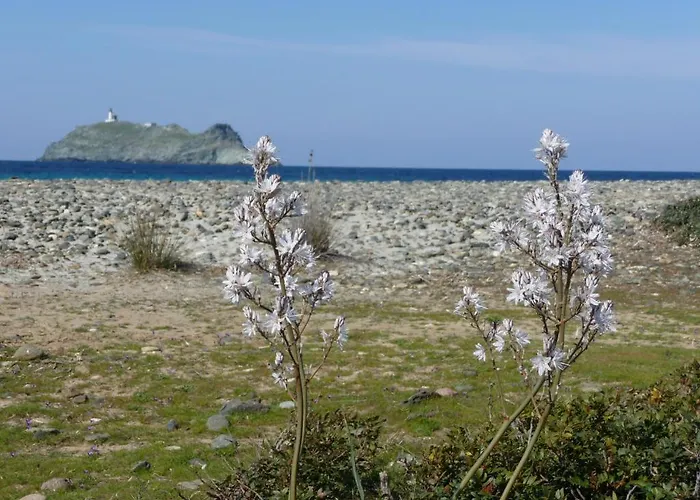 Casa A Rota D'hotes Dans Maison D'americains Bed & Breakfast Ersa