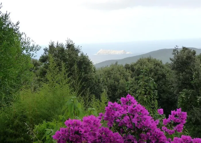 Bed & Breakfast Casa A Rota D'hotes Dans Maison D'americains