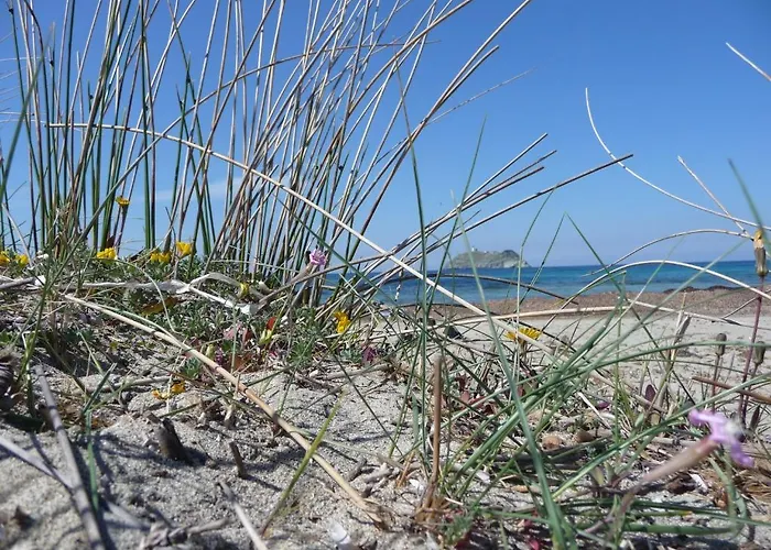 Casa A Rota D'hotes Dans Maison D'americains Bed & Breakfast