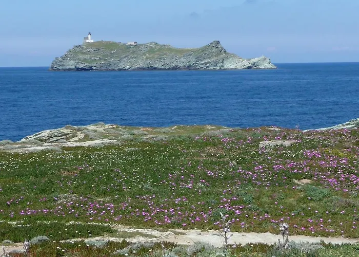 Bed & Breakfast Casa A Rota D'hotes Dans Maison D'americains 3*