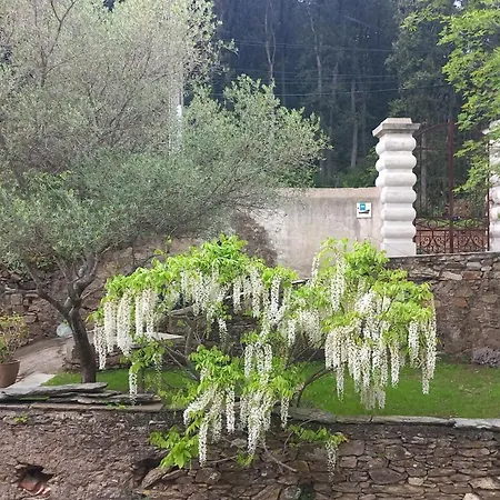Casa A Rota D'hotes Dans Maison D'americains 3* Ersa