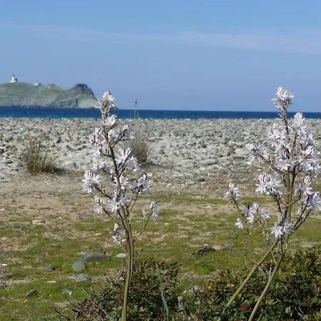 Casa A Rota D'hotes Dans Maison D'americains Bed and Breakfast Ersa