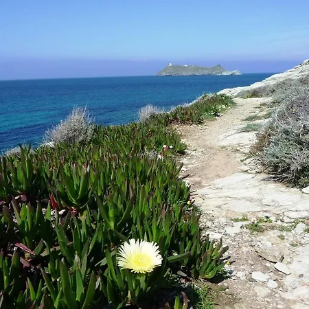 Casa A Rota D'hotes Dans Maison D'americains 3*