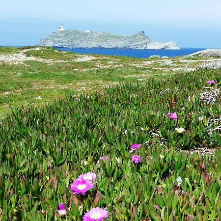 Frühstückspension Casa A Rota D'hotes Dans Maison D'americains 3*