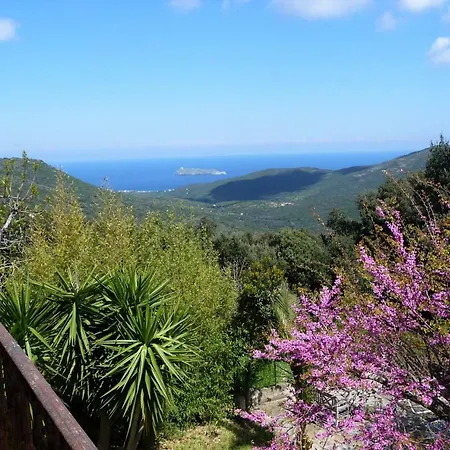 Casa A Rota D'hotes Dans Maison D'americains 3* Ersa