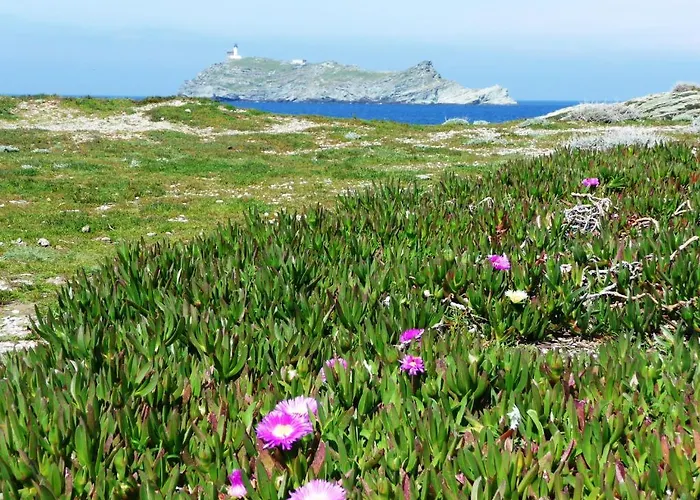 Couette-café Casa A Rota D'hôtes 3*